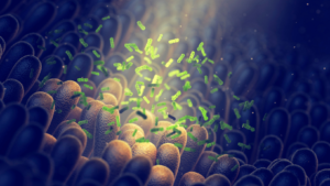 Close up of microbiome and immune cells